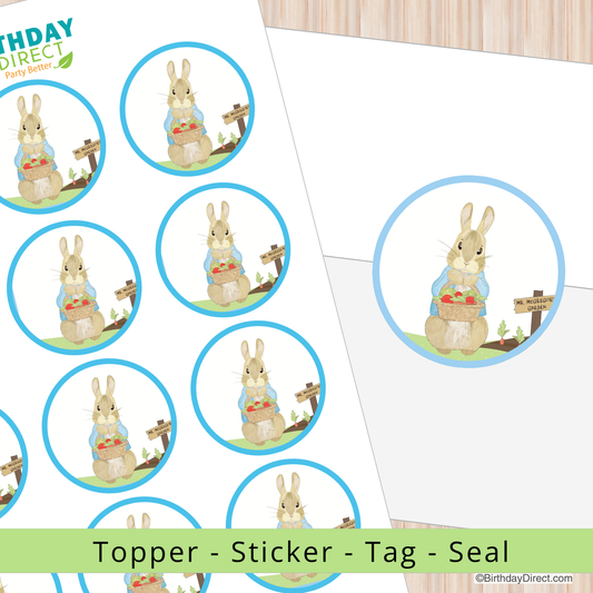 Set of Peter Rabbit-themed toppers, stickers, tags, and seals on a white background with 'Birthday Direct' branding.