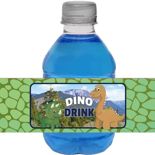 Birthday Direct's Dinosaur Friends Party Water Bottle Labels