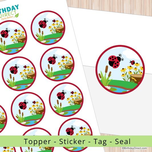 Circular stickers with ladybug designs on a white background, featuring Birthday Direct branding.