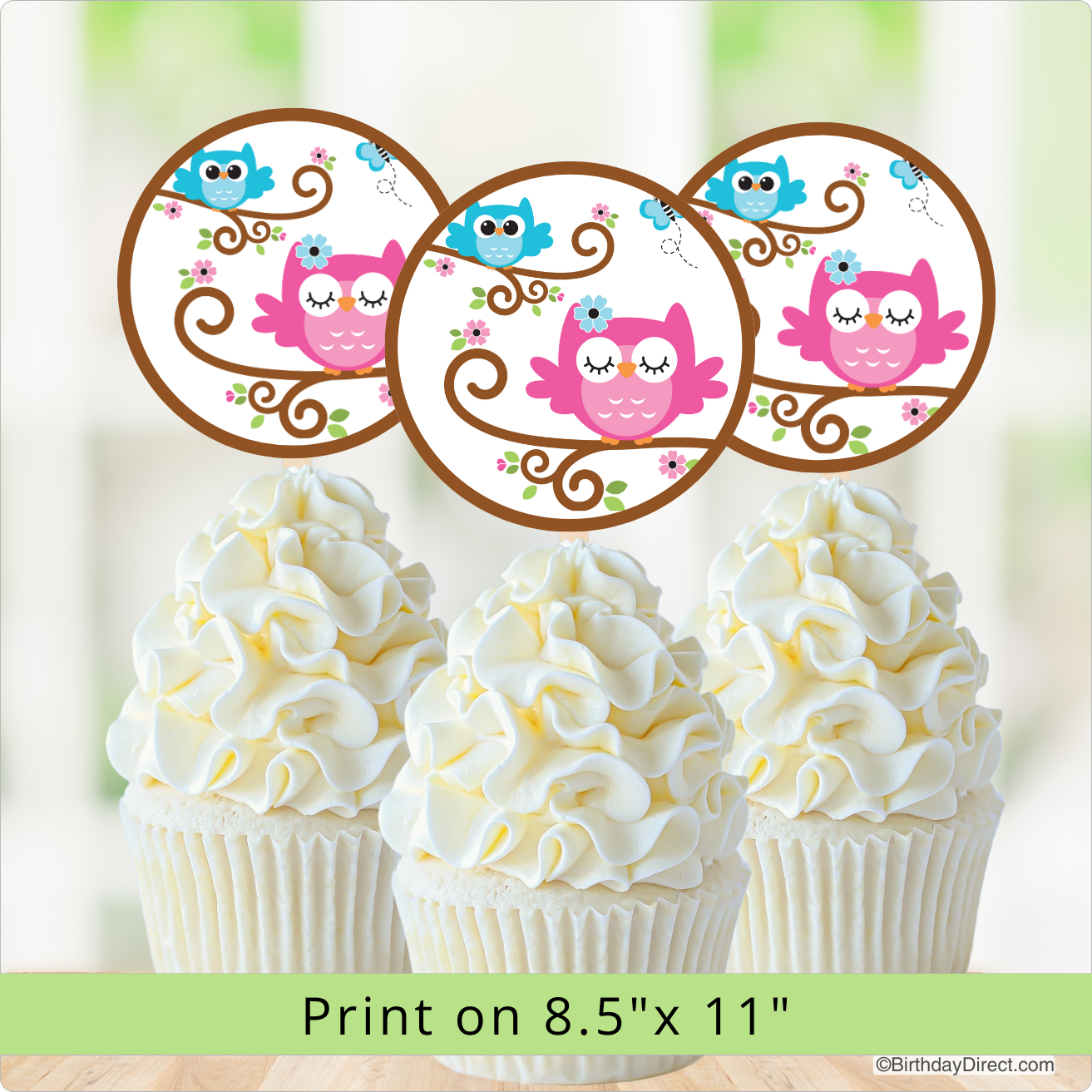 Cupcakes with white frosting and decorative toppers featuring cartoon owls on a light green background.