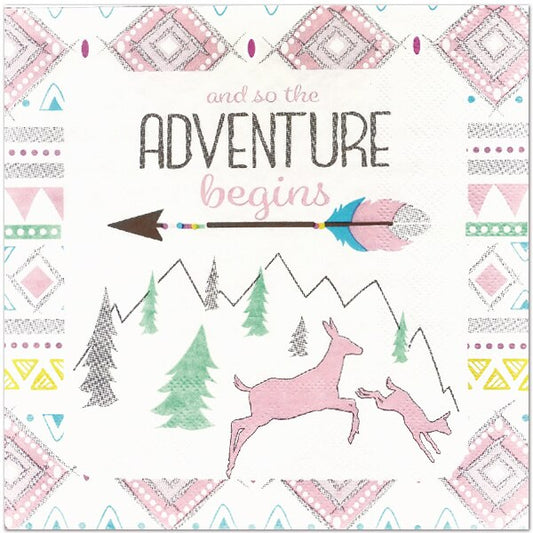 Adventure Girl Lunch Napkins, 6.5 inch fold, set of 16