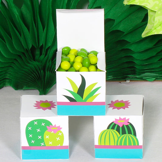 Cactus Party DIY Favor Box 3 count