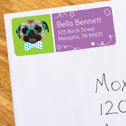 Birthday Direct's Pug Dog Party Address Labels