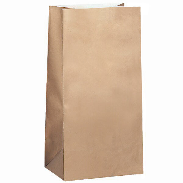 Craft Paper Bags, 5 x 9.2 inch, set of 12