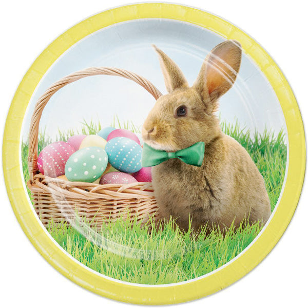 Easter Bunny and Basket Dinner Plates, 9 inch, 8 count