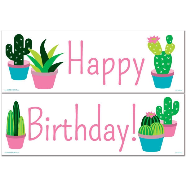 Birthday Direct's Cactus Birthday Two Piece Banners