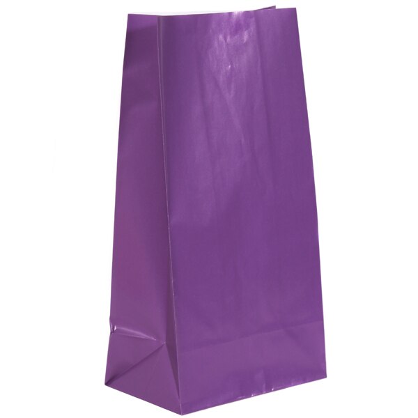 Paper Favor Bags Purple, 10 inch, set of 12