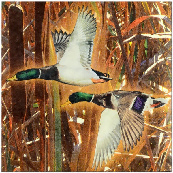 Wild Duck Party Lunch Napkins, 6.5 inch fold, set of 16