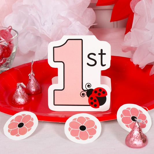 Birthday Direct's Ladybug 1st Birthday DIY Table Decoration